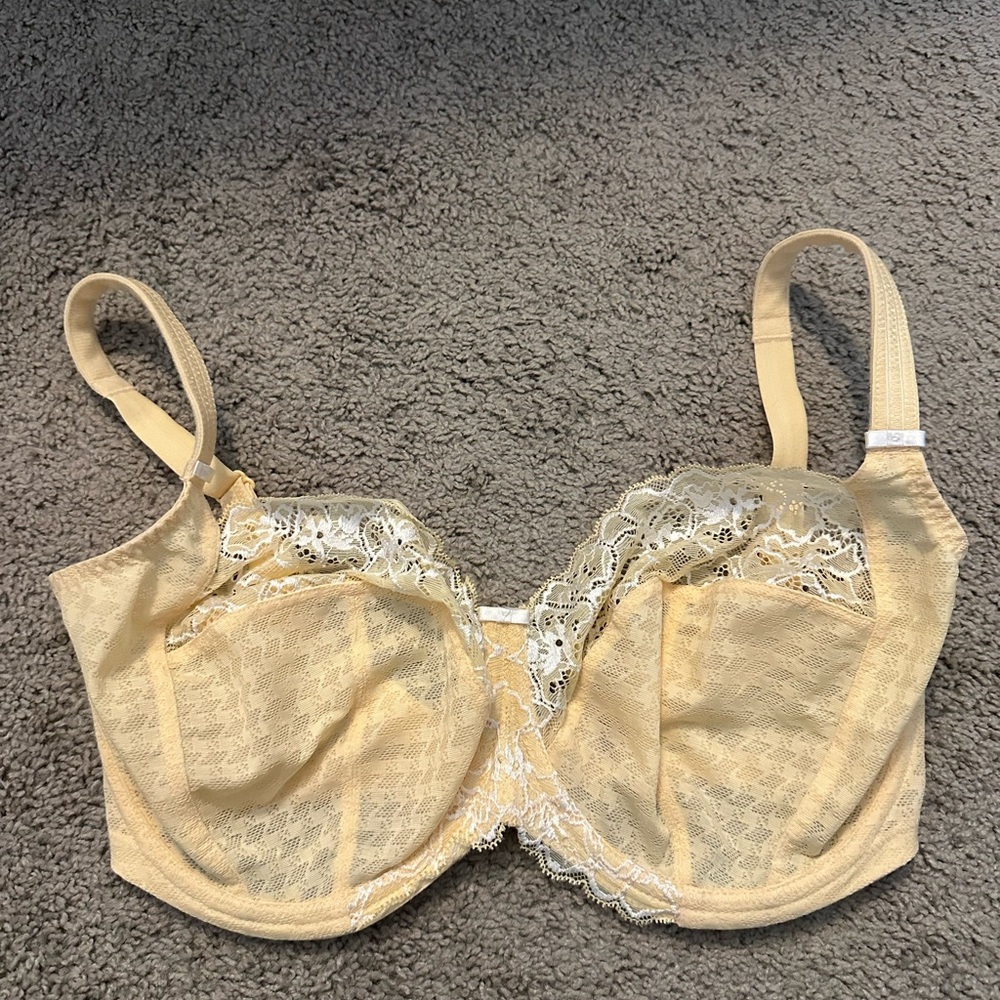 Envy Side Support Balconette Bra